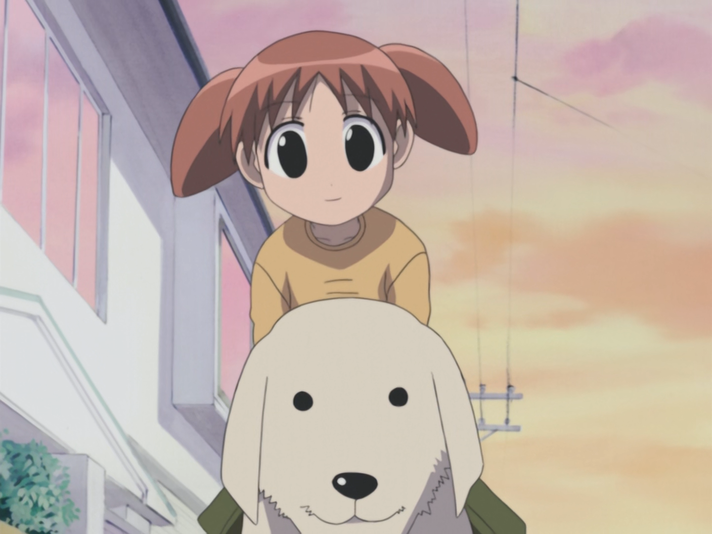 Azumanga Daioh (Kamonohashi no Fansub)